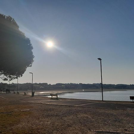 Le 322 Entre Lac Et Ocean Vieux-Boucau-les-Bains Dış mekan fotoğraf